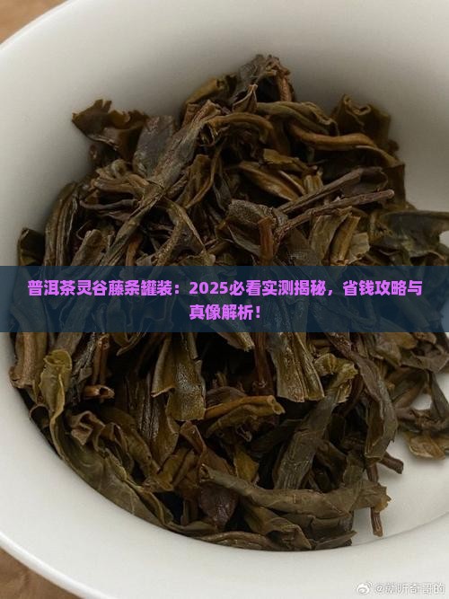 普洱茶灵谷藤条罐装
