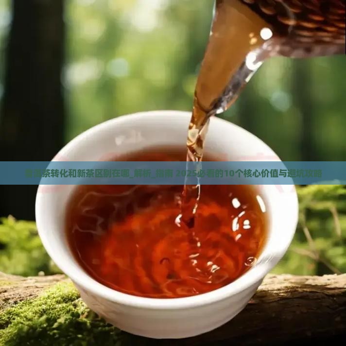 普洱茶转化和新茶区别在哪