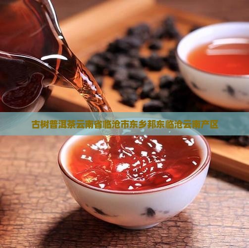 邦东江边古树普洱茶