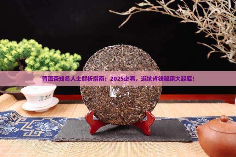 普洱茶知名人士