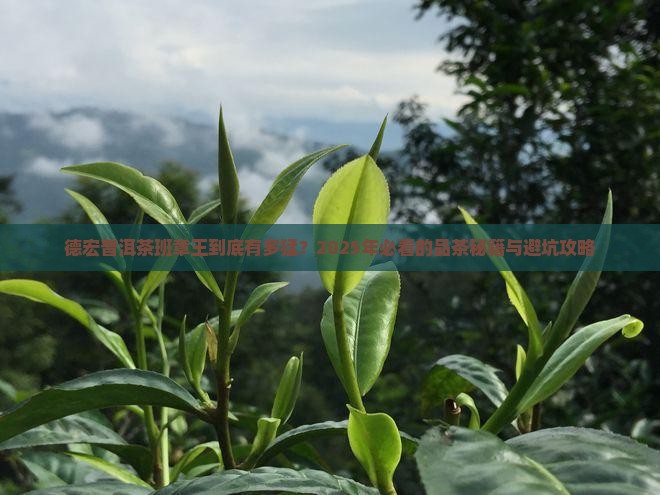 德宏普洱茶班章王