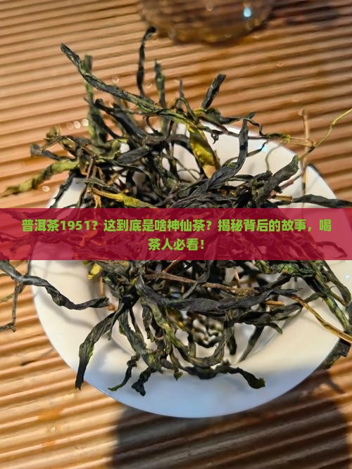 普洱茶1951