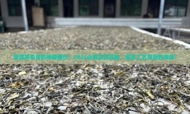 为什麼普洱茶要杀青