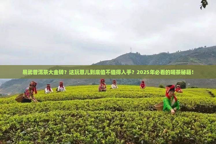 易武普洱茶大金砖
