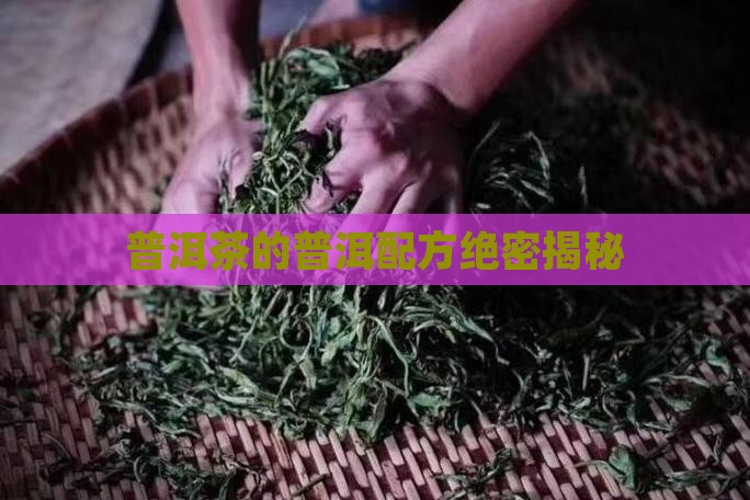 普洱茶的绝密配方是