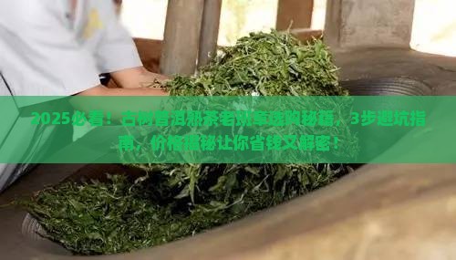 古树普洱熟茶老班章