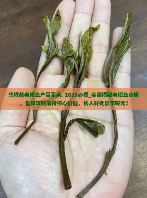华祥苑老班章产品卖点