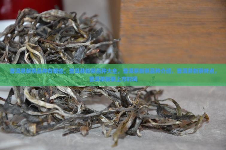 普洱茶新茶品种