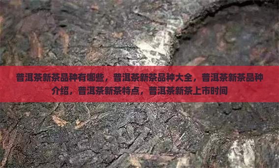 普洱茶新茶品种