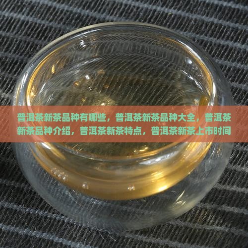 普洱茶新茶品种