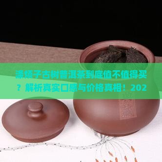 涤烦子古树普洱茶