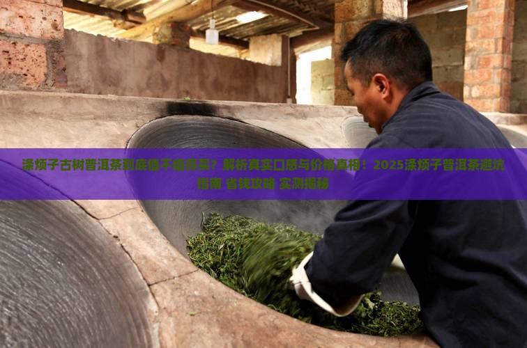 涤烦子古树普洱茶