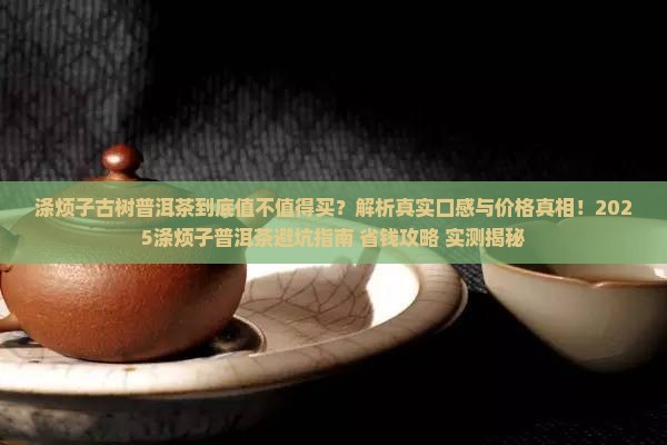 涤烦子古树普洱茶