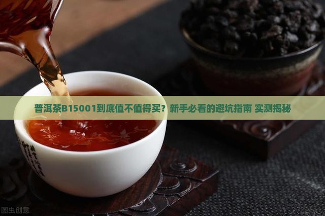 普洱茶B15001