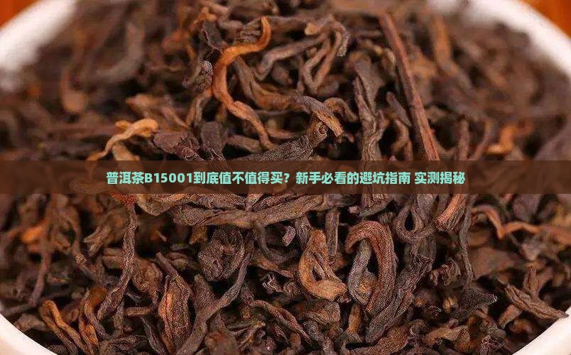 普洱茶B15001