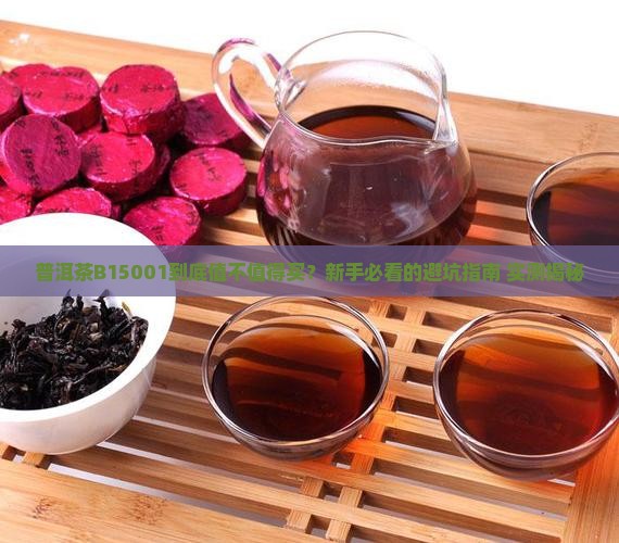 普洱茶B15001