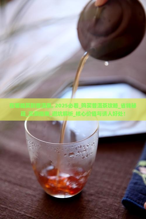 在哪能买到普洱茶