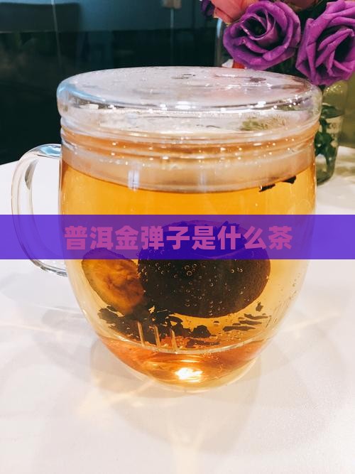 普洱金弹子是什么茶