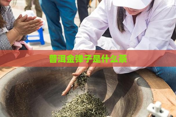 普洱金弹子是什么茶