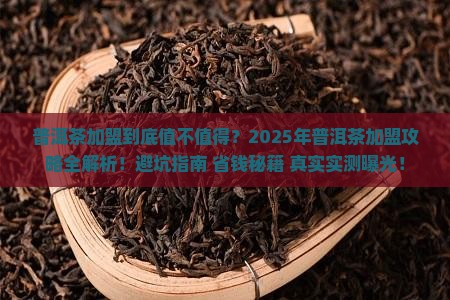 普洱茶加盟的好处是什么
