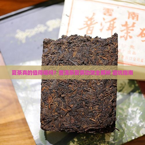 普洱茶夏茶的功效