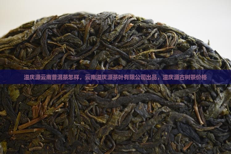 溢庆源云南普洱茶
