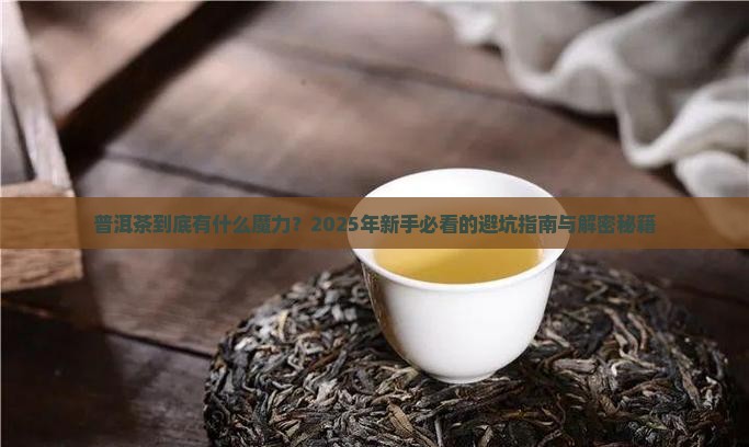 普洱茶的讲师稿