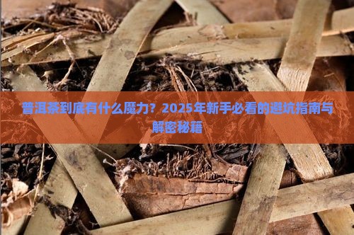 普洱茶的讲师稿