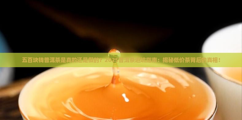 五百块钱普洱茶