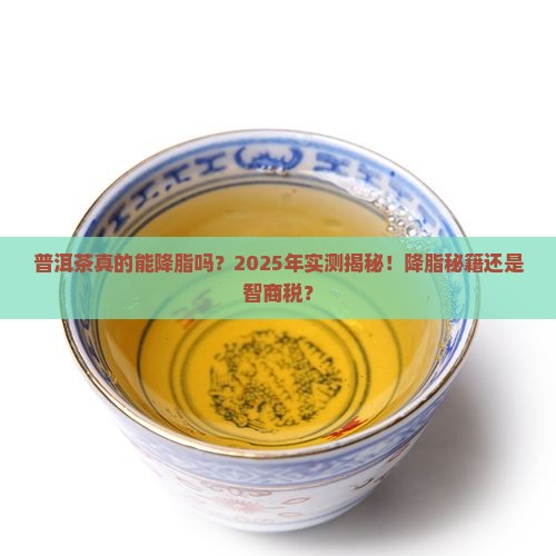 普洱茶可以降脂吗
