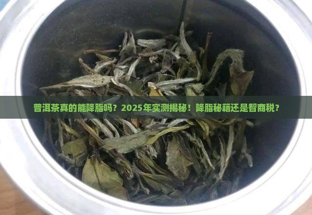 普洱茶可以降脂吗