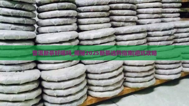 普洱新茶好喝吗