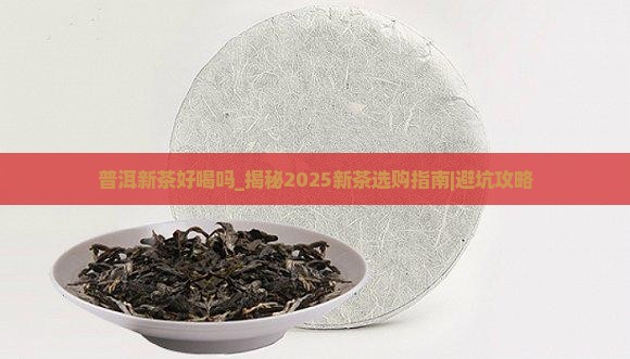 普洱新茶好喝吗