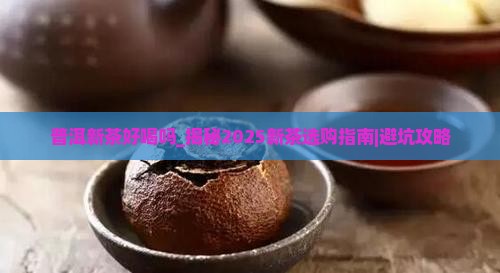 普洱新茶好喝吗