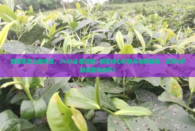 普洱茶怎么做代理
