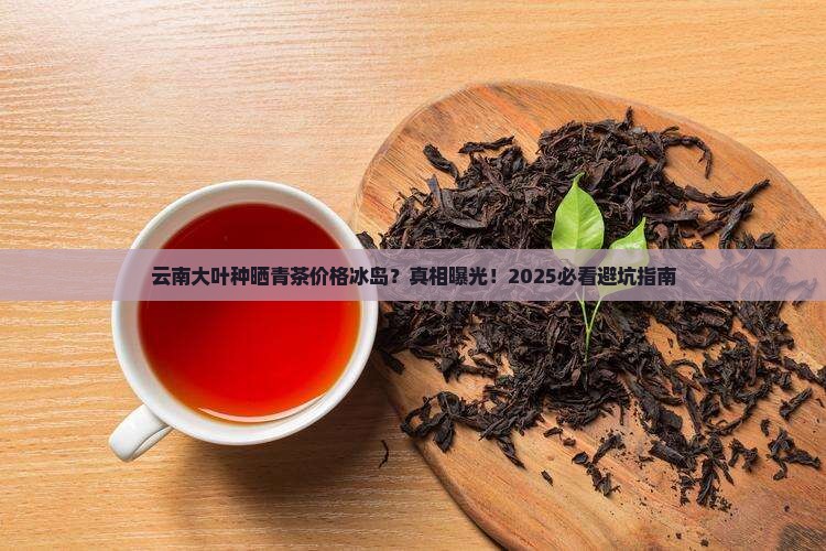 云南大叶种晒青茶价格冰岛
