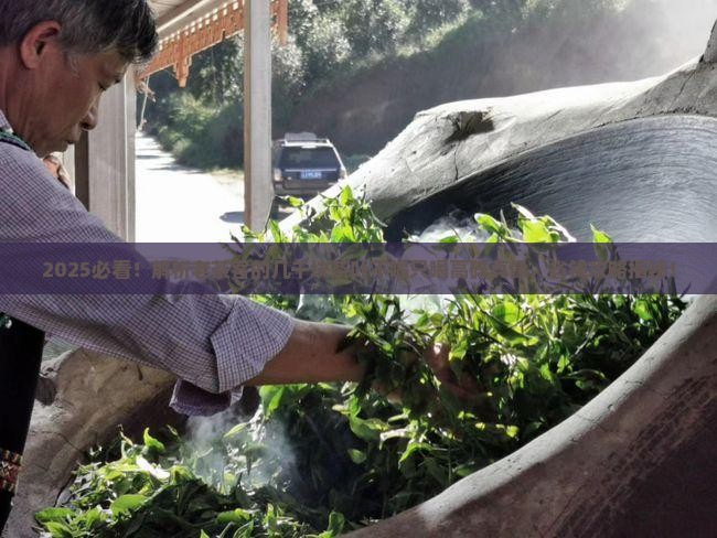 几千块的茶叶不喝只喝高碎