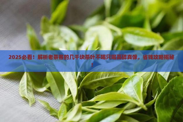 几千块的茶叶不喝只喝高碎