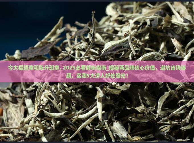 今大福班章和陈升班章
