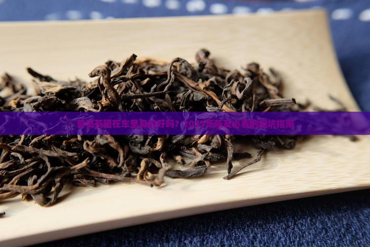 普洱茶在车里晒好吗