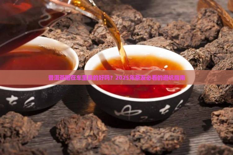普洱茶在车里晒好吗
