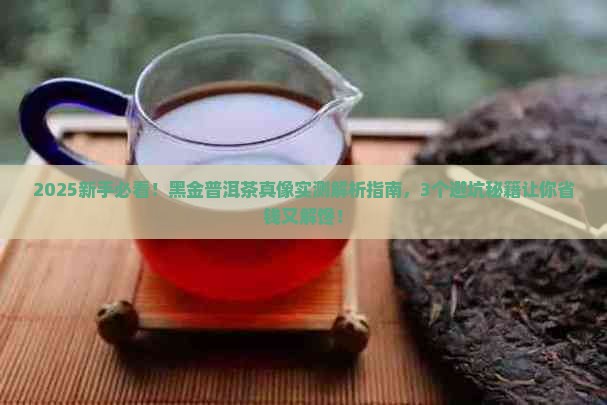 黑金普洱茶怎么样
