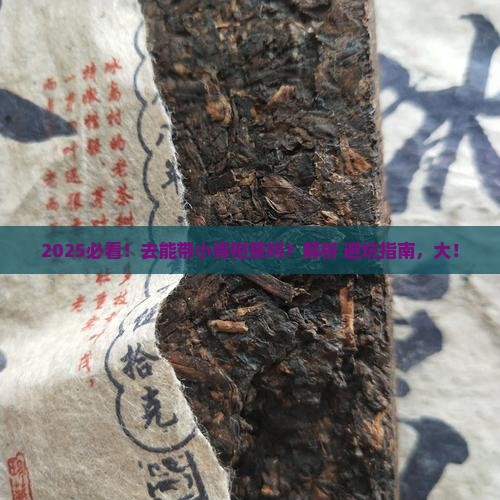 去美国可以带小青柑茶吗