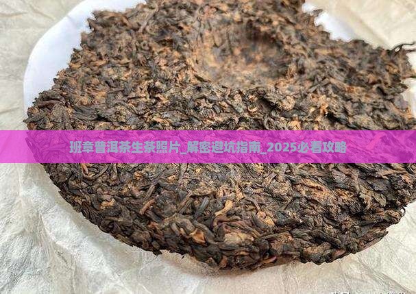 班章普洱茶生茶照片