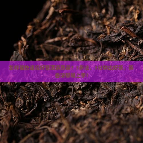 怎样能快速泡好普洱茶熟茶