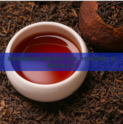 怎样能快速泡好普洱茶熟茶