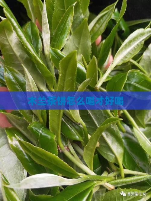 木兰茶饼怎么喝