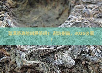 普洱茶又名黑茶吗