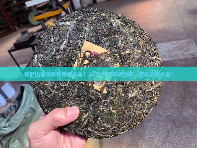 横断山普洱茶怎么样