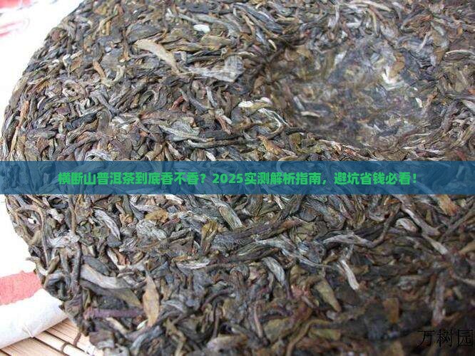 横断山普洱茶怎么样